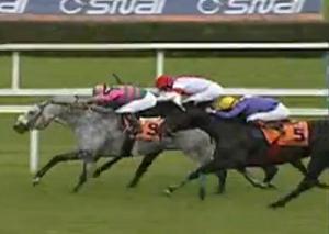 image Ascot : Delegator contre Star Witness samedi